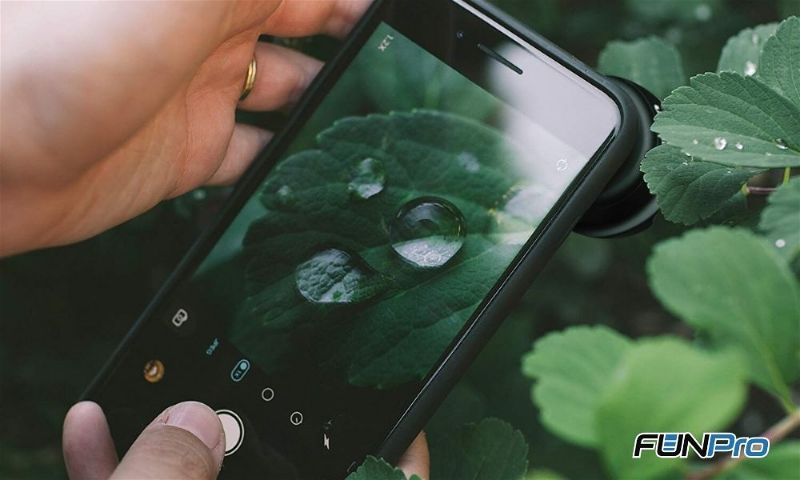 Tirando foto de folhas com celular e lente macro