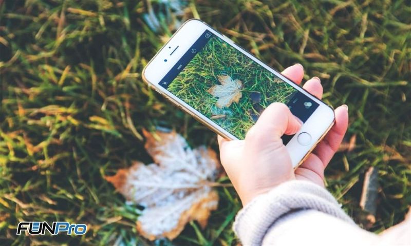 Imagem de uma mão segurando o celular, tirando foto de uma folha.